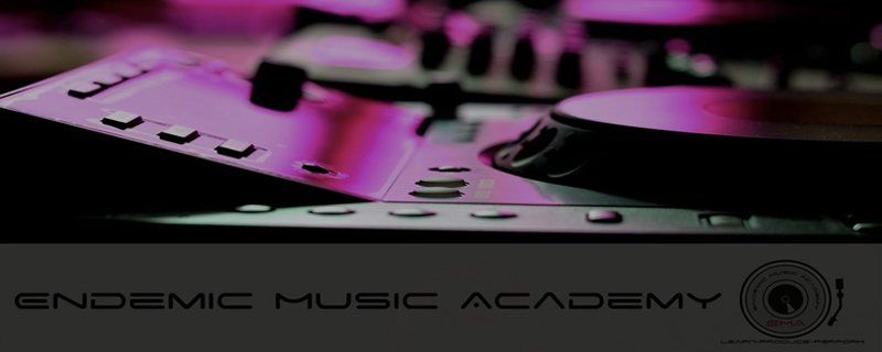 Endemic Music Academy Pvt. Ltd 